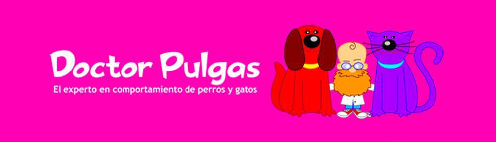 Doctor Pulgas
